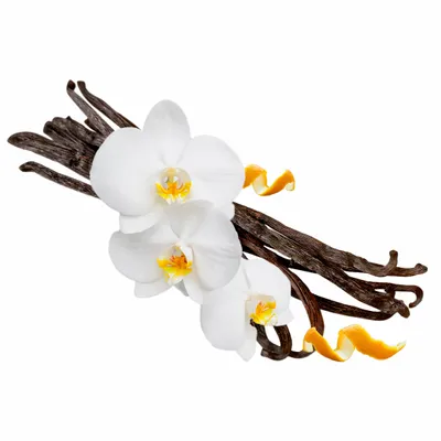 Vanilla - Custom Banners Now