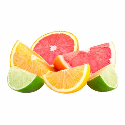 Citrus - Custom Banners Now