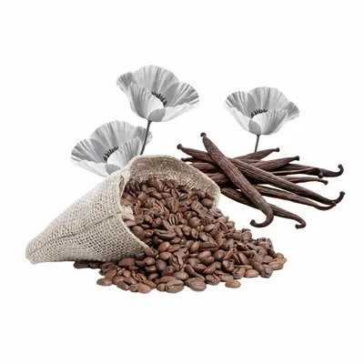 Black Opium - Custom Banners Now