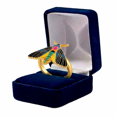 Blue Velvet Box - Custom Banners Now