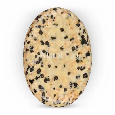 Dalmatian - Custom Banners Now