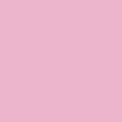 Light Pink - Custom Banners Now