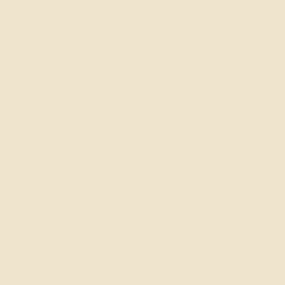 Ivory - Custom Banners Now
