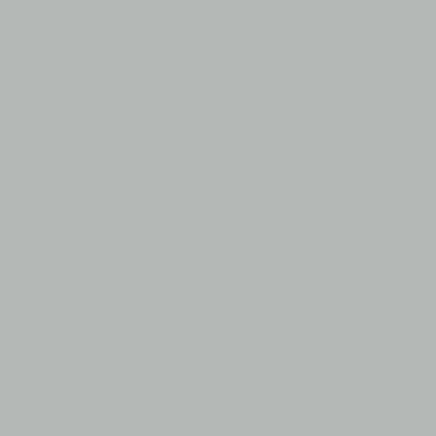 Light Gray - Custom Banners Now