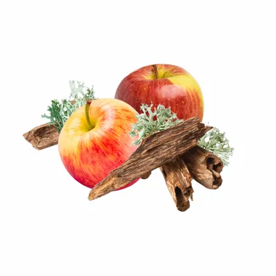 Oak Moss - Custom Banners Now