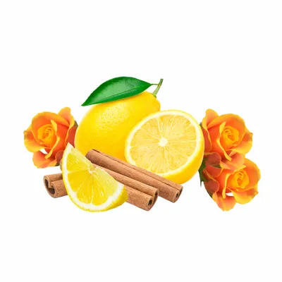 Amber - Custom Banners Now