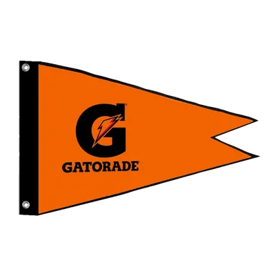 Burgee Flag - Custom Banners Now