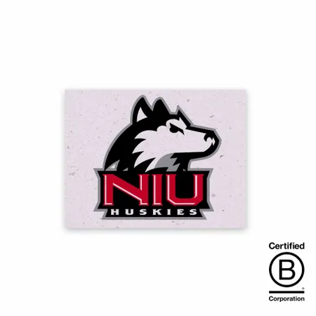 Seed Paper Panel Cards - Custom Banners Now