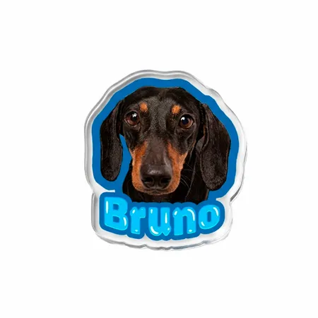 Custom Photo Paper Clips - Custom Banners Now