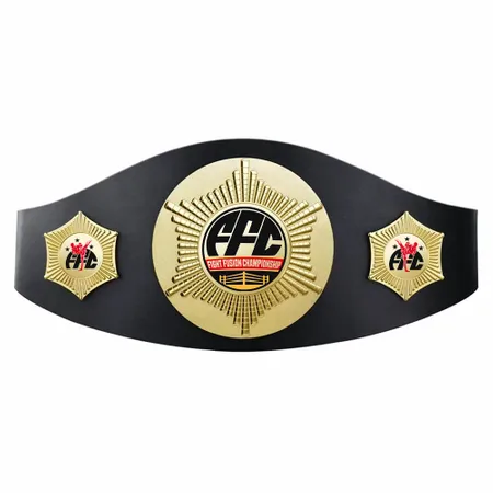 Custom Perpetual Champion Belts - Custom Banners Now